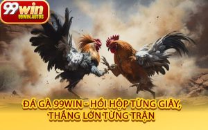 Đá Gà 99WIN - Hồi Hộp Từng Giây, Thắng Lớn Từng Trận