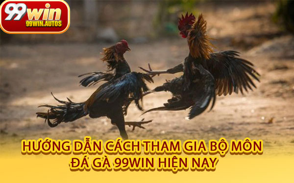 Hướng Dẫn Cách Tham Gia Bộ Môn Đá Gà 99WIN Hiện Nay