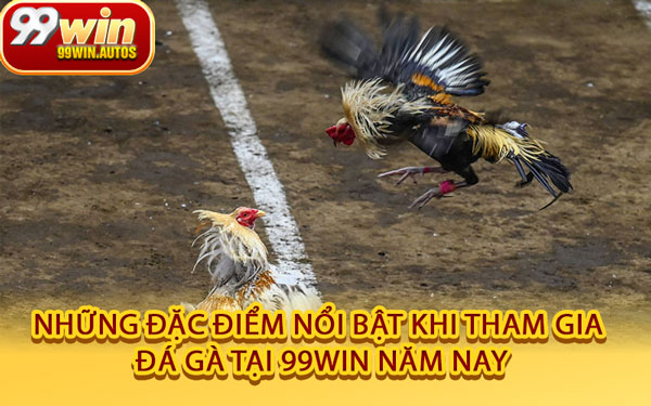 Những Đặc Điểm Nổi Bật Khi Tham Gia Đá Gà Tại 99WIN Năm Nay