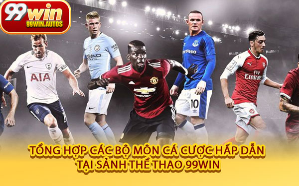 Tổng Hợp Các Bộ Môn Cá Cược Hấp Dẫn Tại Sảnh Thể Thao 99WIN