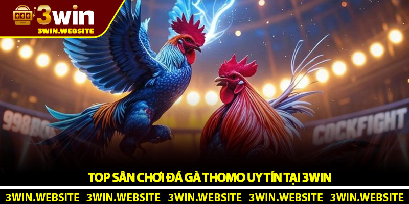 Top Sân Chơi Đá Gà Thomo Uy Tín Tại 3Win